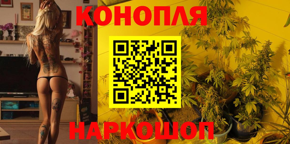 Конопля индика  Канабис конопля  Вход с VPN  Шишки марихуана семена  Конопля Amnesia  Ейск 